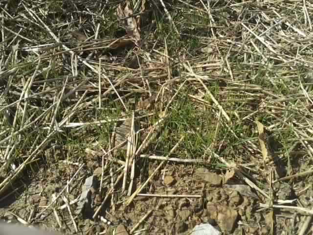 Resize_0402201122-00_01